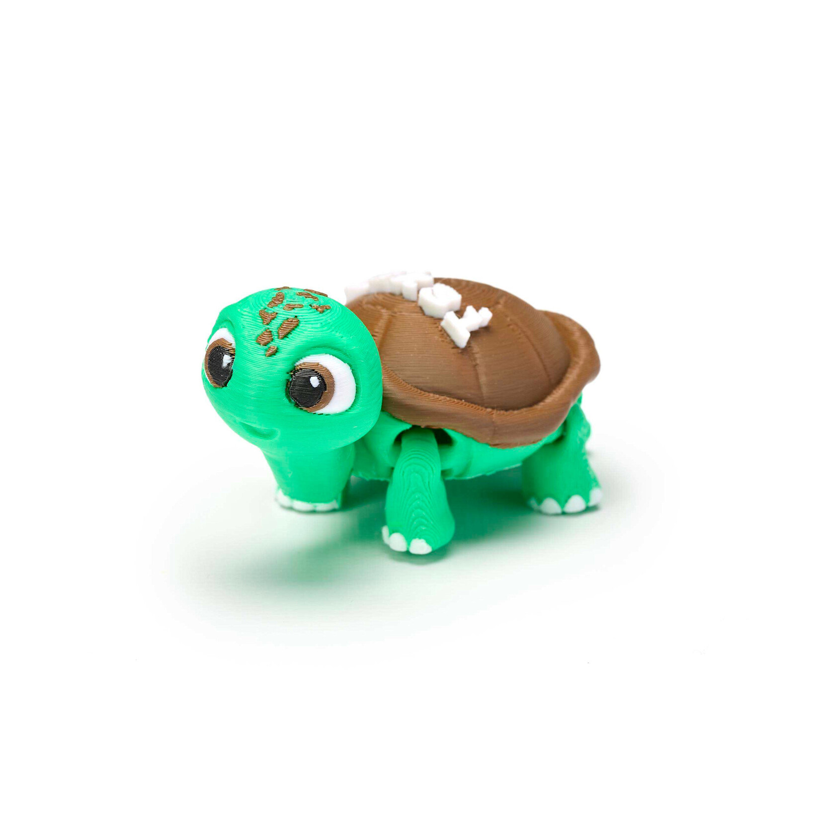3D Choctaw Animals/Choctaw Word