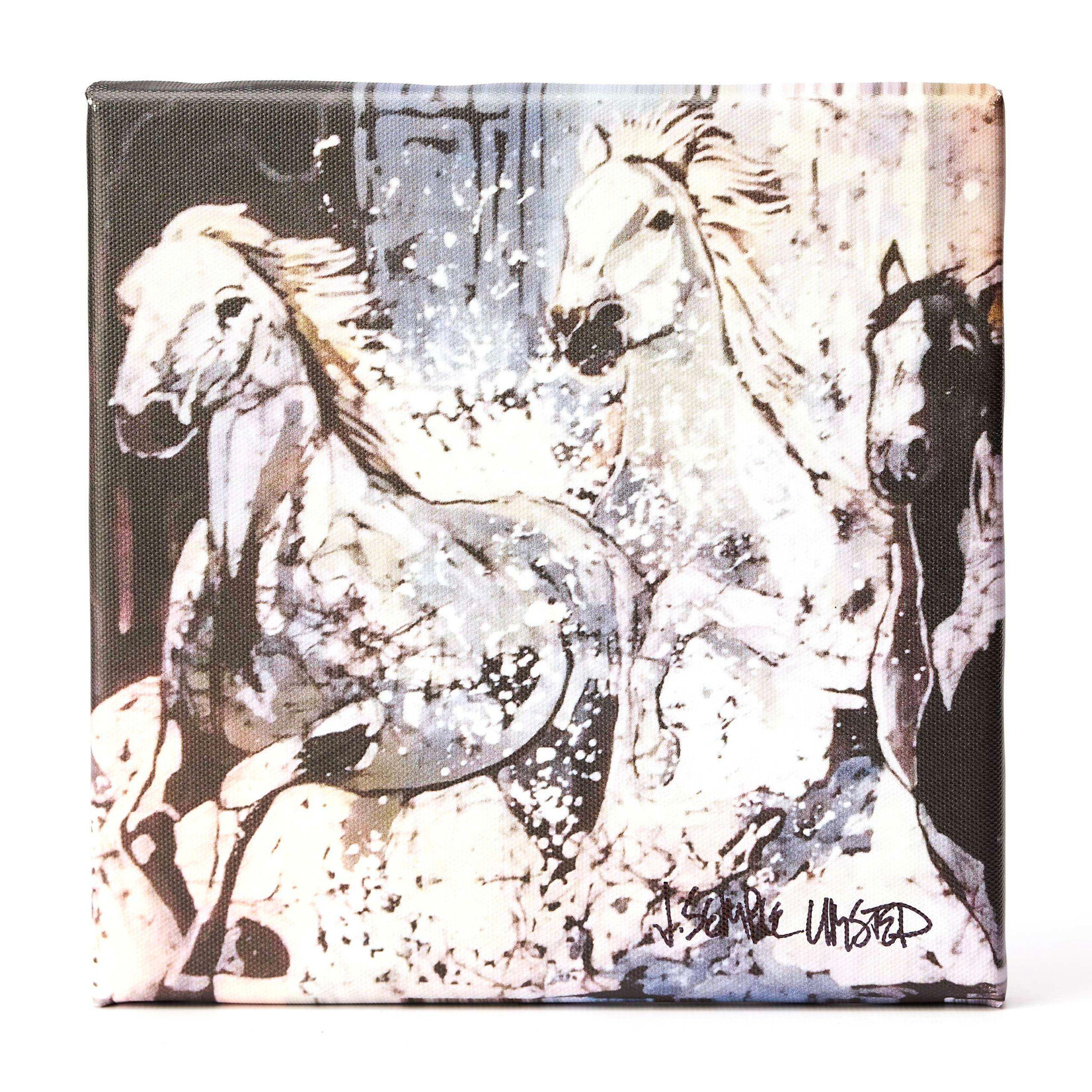 *JU Coming Through the Falls #1-8 x 8 Canvas Print