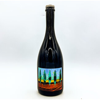 BERGIANTI 'NO AUTOCLAVE' SPARKLING RED LAMBRUSCO ROSSO ORGANIC 750ML