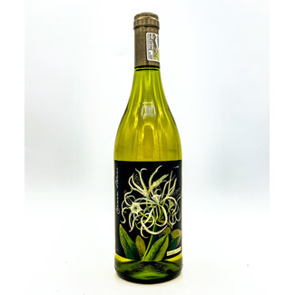 BOTANICA CHENIN BLANC 2022 'MARY DELANY COLLECTION' CITRUSDAL 750ML