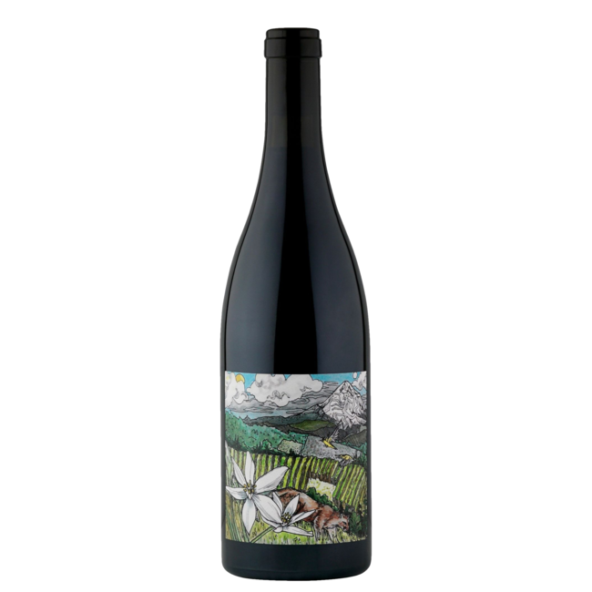 KELLEY FOX 'MIRABAI' PINOT NOIR 2022 WILLAMETTE VALLEY 750ML