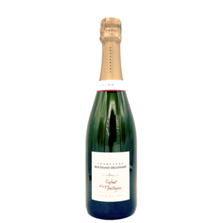 BERTRAND-DELESPIERRE CHAMPAGNE 'ENFANT de la MONTAGNE' EXTRA BRUT PREMIER CRU 750ML