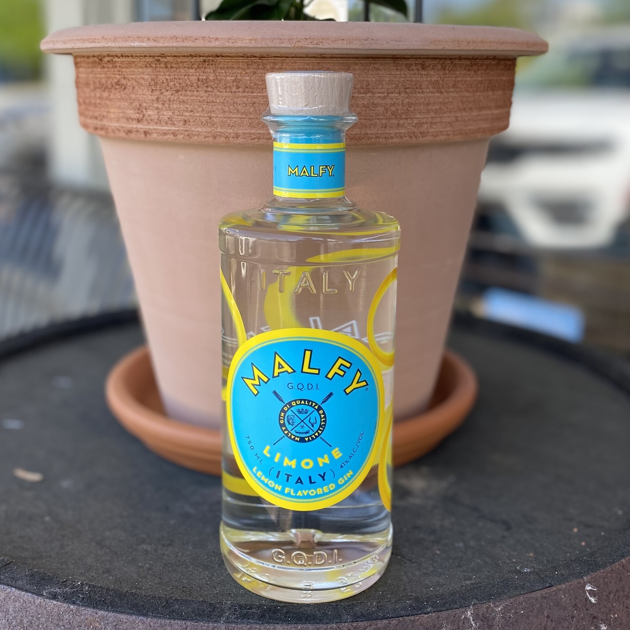 MALFY CITRUS GIN 750ML Grapes & Grains