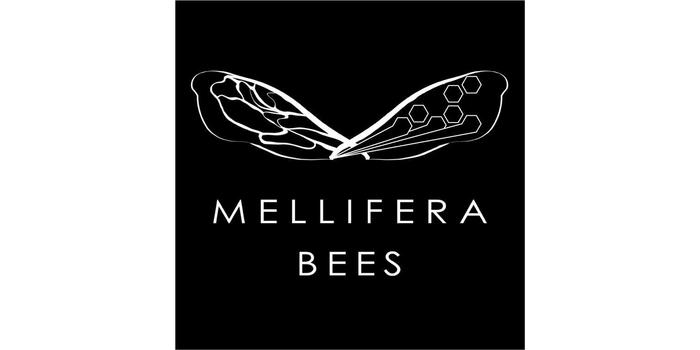 mellifera bees