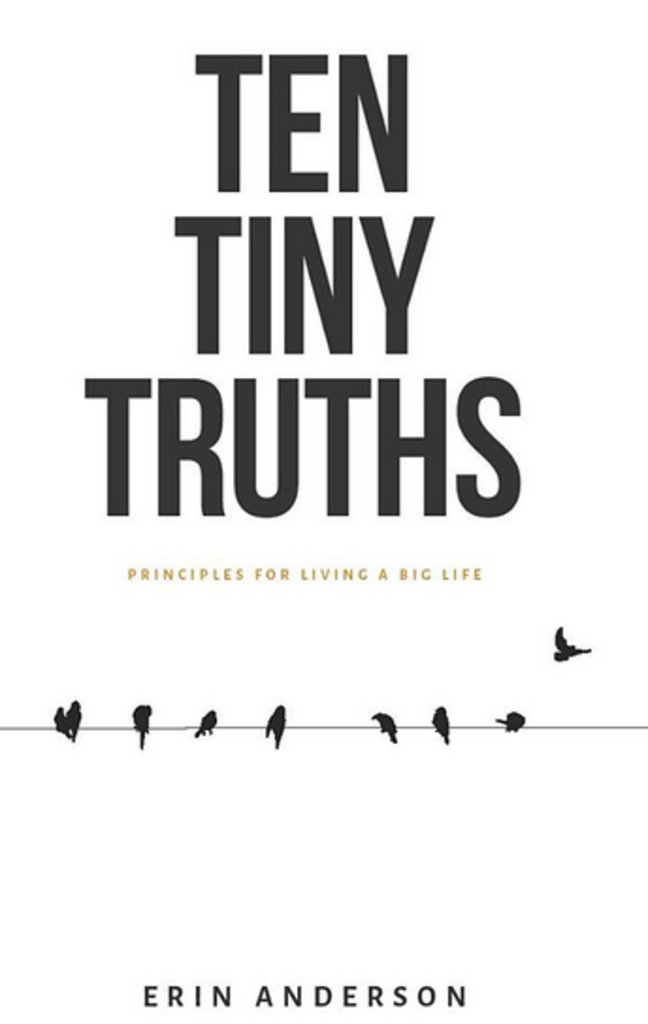 erin anderson ten tiny truths by erin anderson