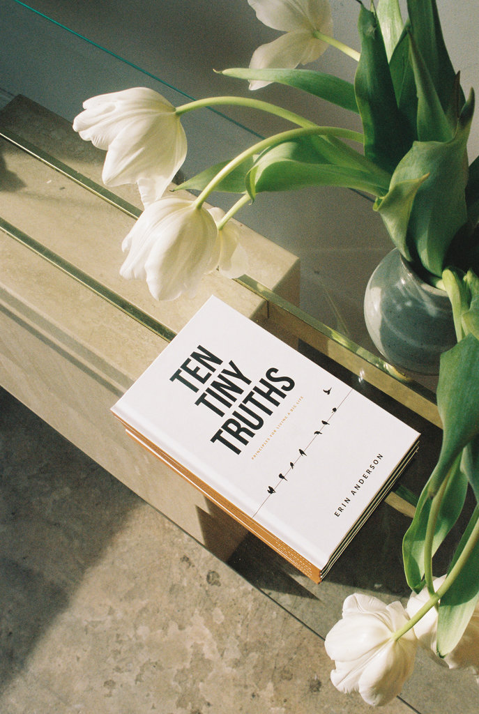 erin anderson ten tiny truths by erin anderson