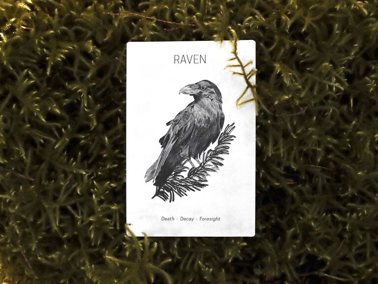 sarah hammond studio sarah hammond great bear oracle cards