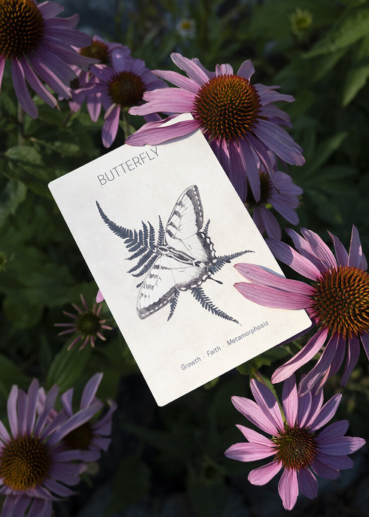 sarah hammond studio sarah hammond great bear oracle cards