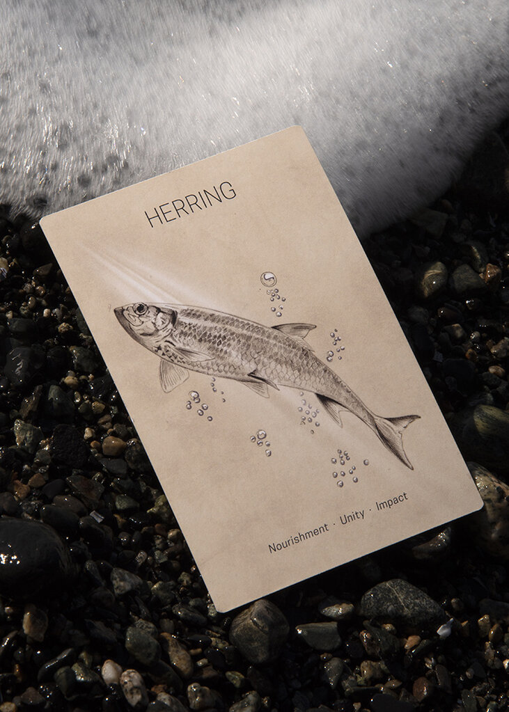 sarah hammond studio sarah hammond great bear oracle cards