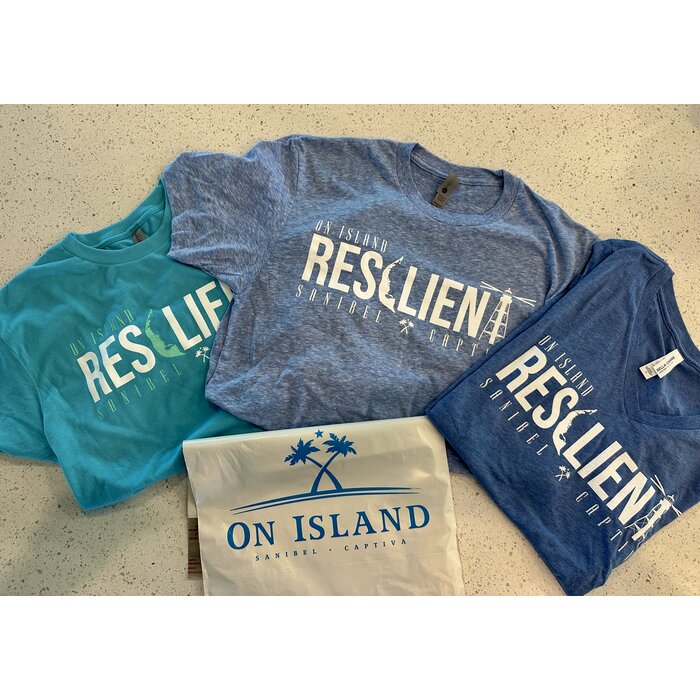 RESILIENT Ladies V-Neck Heathered Blue