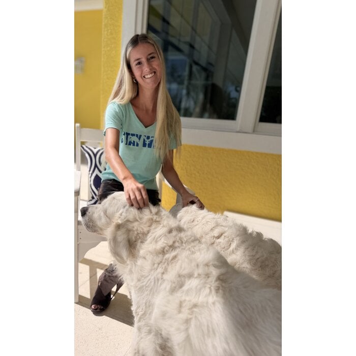 Stay Wild Ladies Short Sleeve V-Neck - Mint