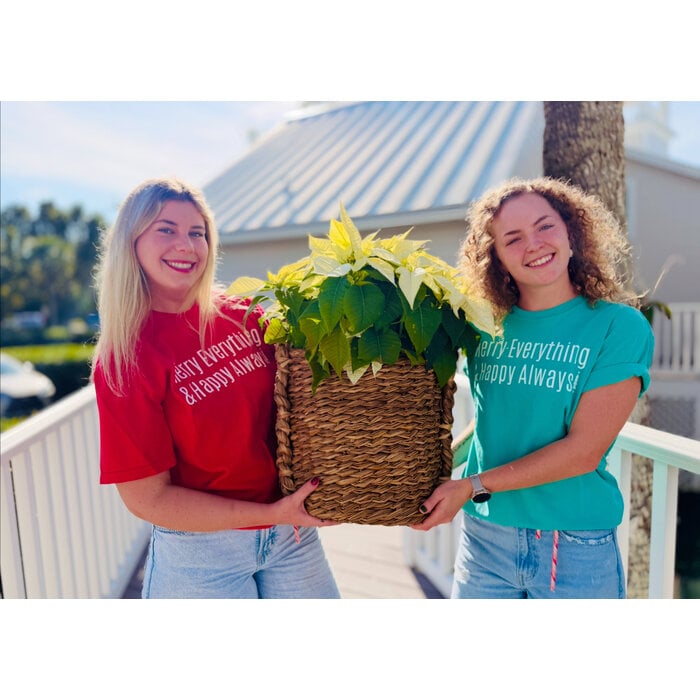 Merry Everything - Unisex Short Sleeve Green