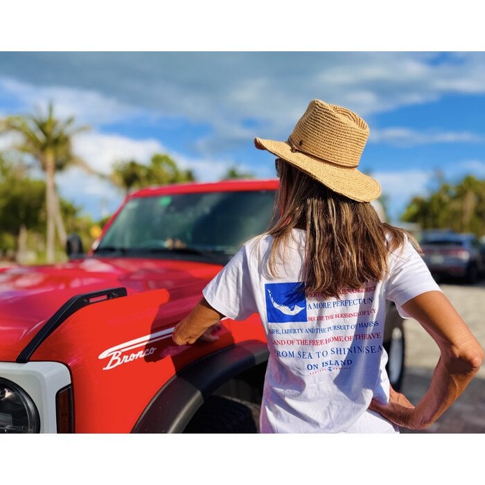 Liberty and Justice for All - Ladies V-Neck