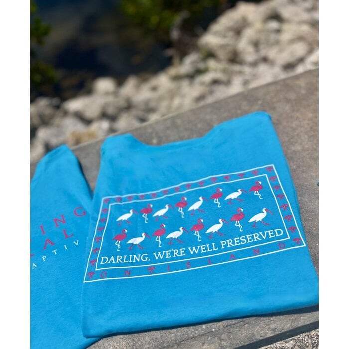 Something Natural - Ladies VNeck