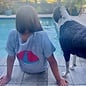 Sit. Stay. Wag! Ladies V-Neck Short Sleeve - Grey