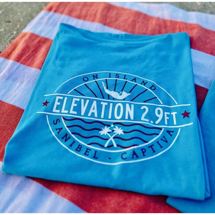 Elevation - Ladies V-Neck Short Sleeve Aqua