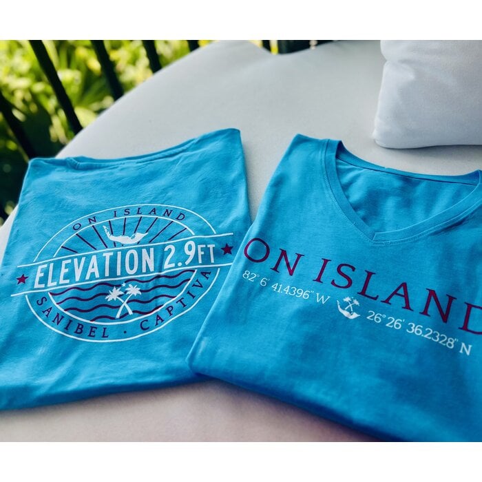 Elevation - Ladies V-Neck Short Sleeve Aqua