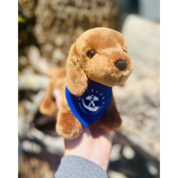 Stuffed Puppy