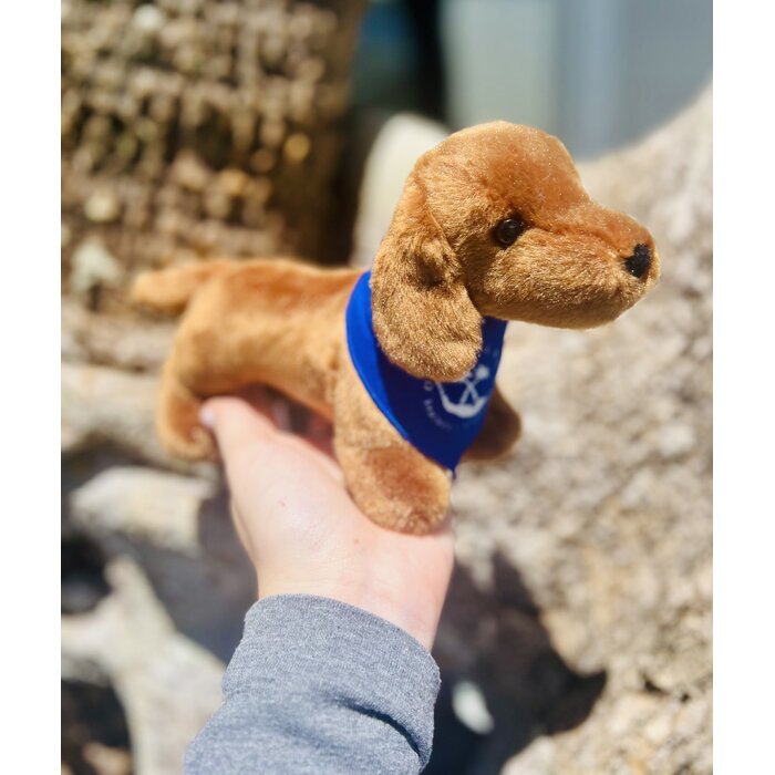 Stuffed Puppy