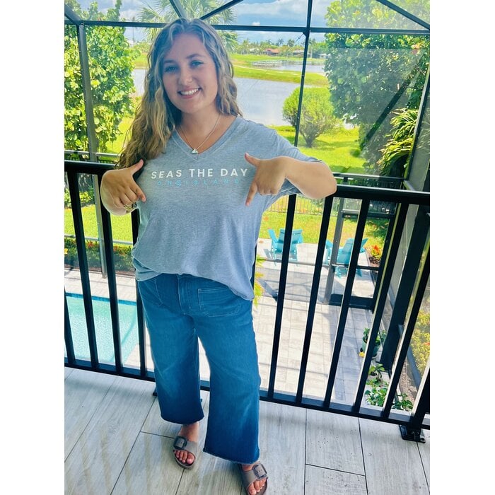 Seas The Day Ladies Short Sleeve V-Neck - Grey