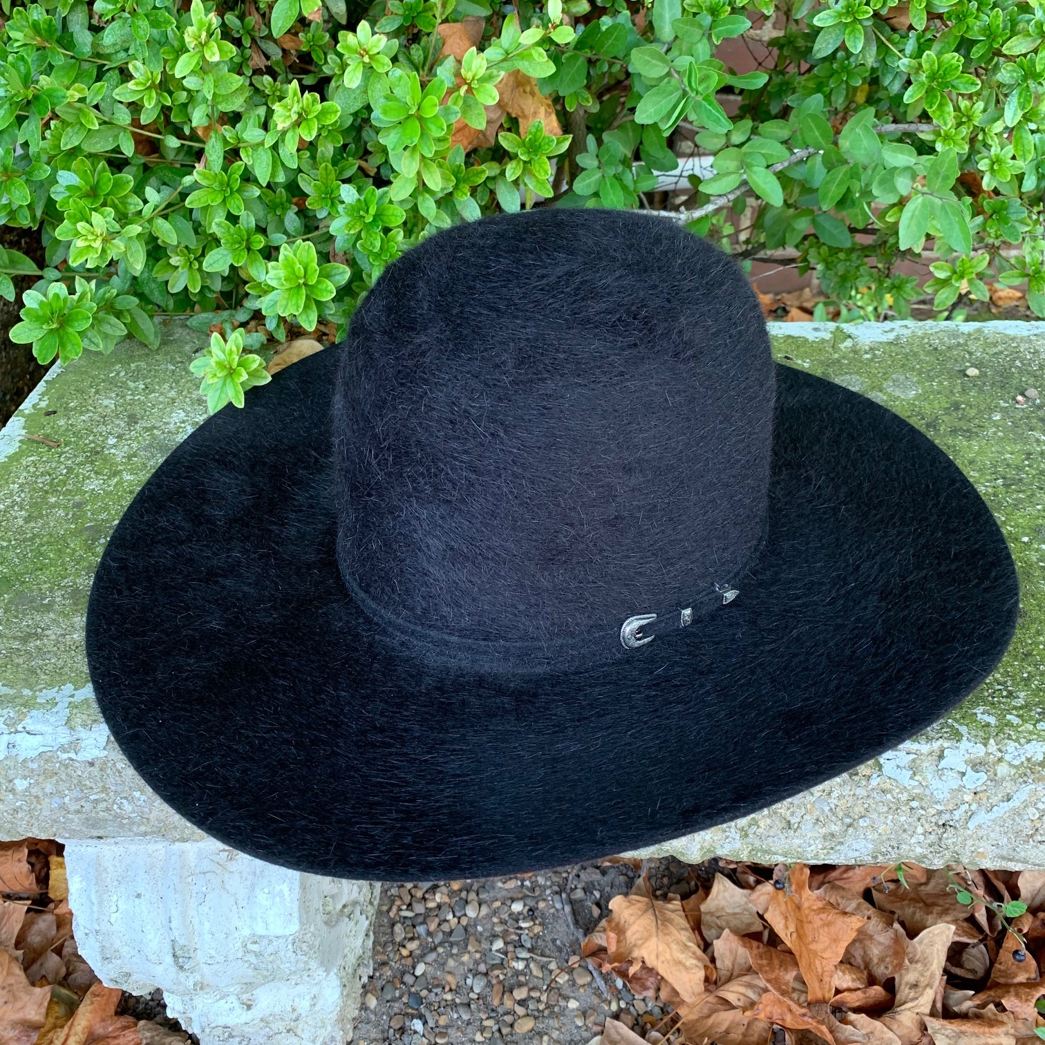 rodeo king grizzly hat