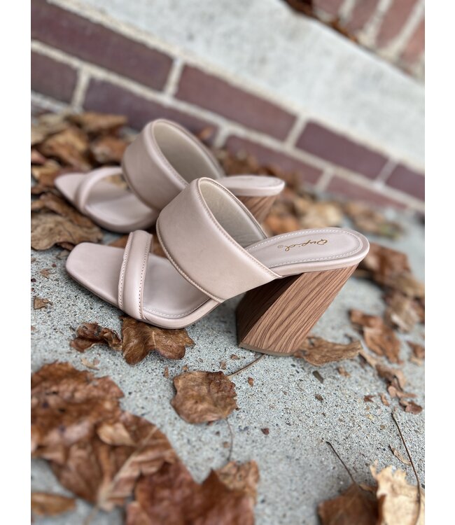 The Chandler Band Slide