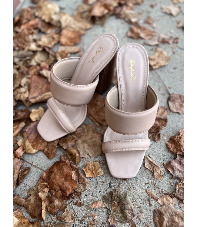 The Chandler Band Slide