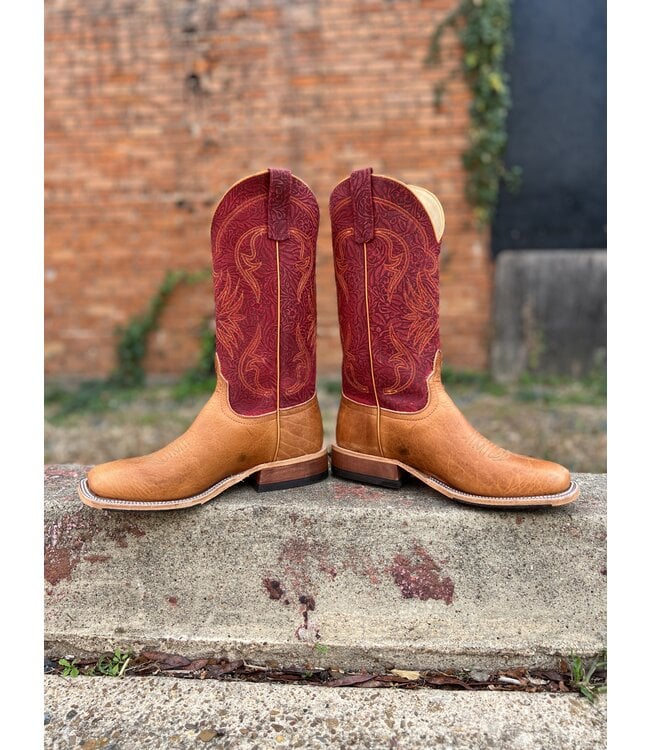 Honey Navajo Bison 337810