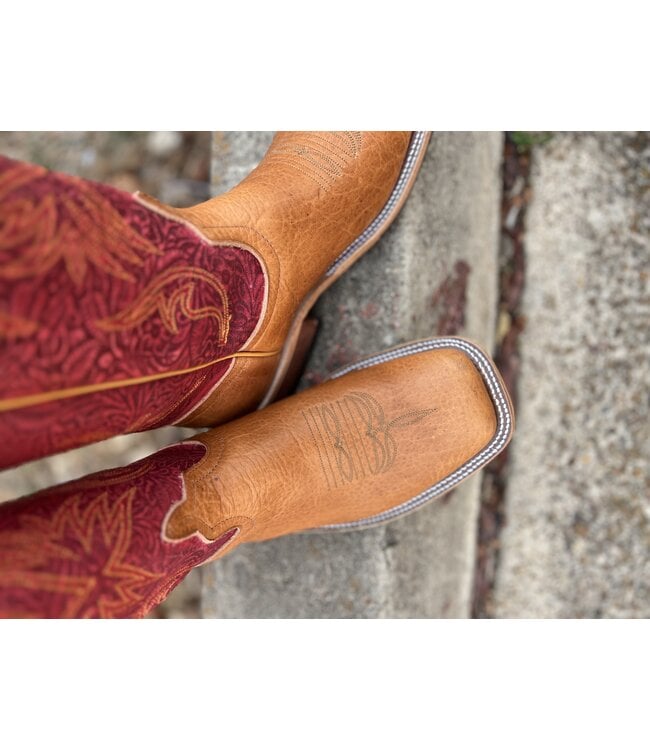 Honey Navajo Bison 337810