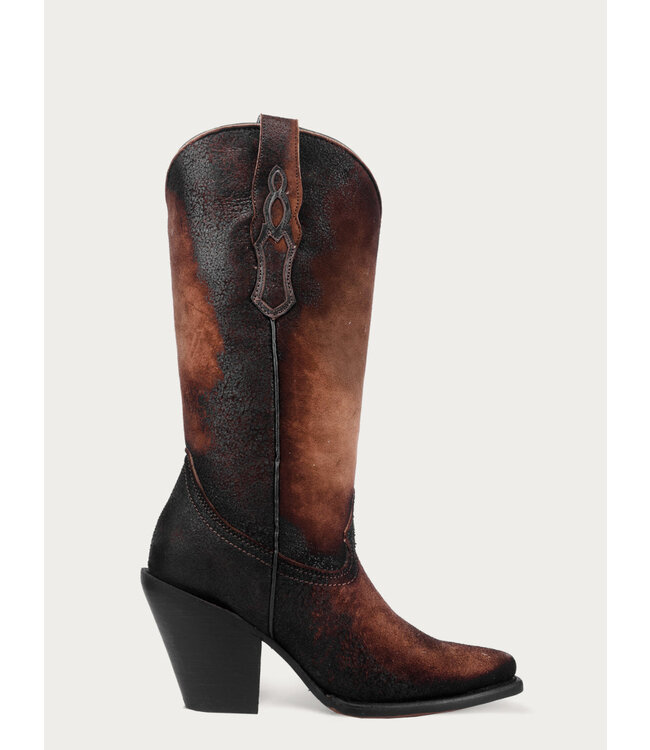 Z5202 Little Lamb Snip Toe