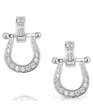 Ride in Style Earring ER5824