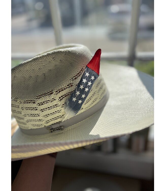 Hand Painted Red White Blue Hat Feather