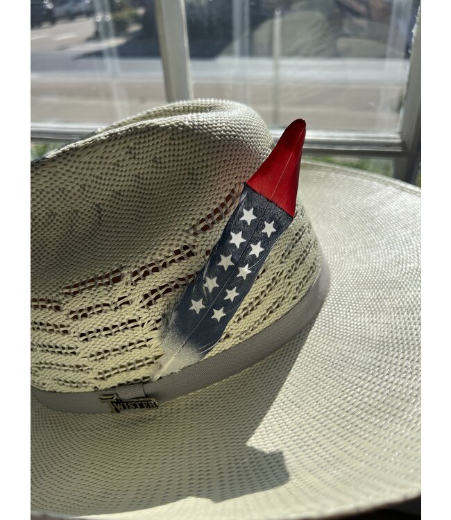 Hand Painted Red White Blue Hat Feather