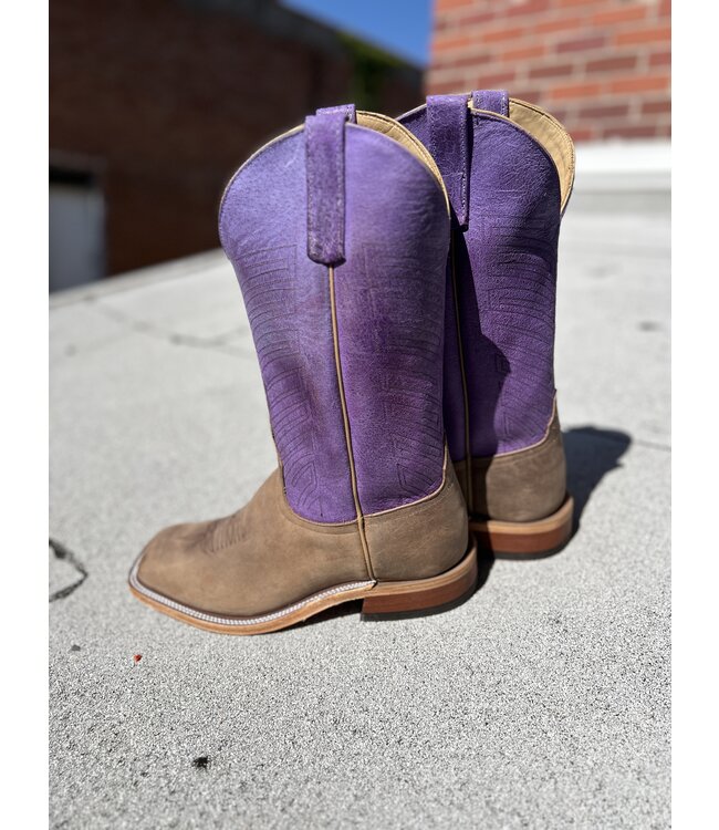 340313 Sand Angry Elk