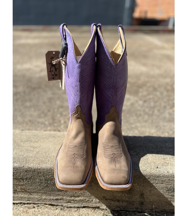 340313 Sand Angry Elk