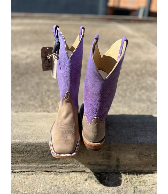 340313 Sand Angry Elk