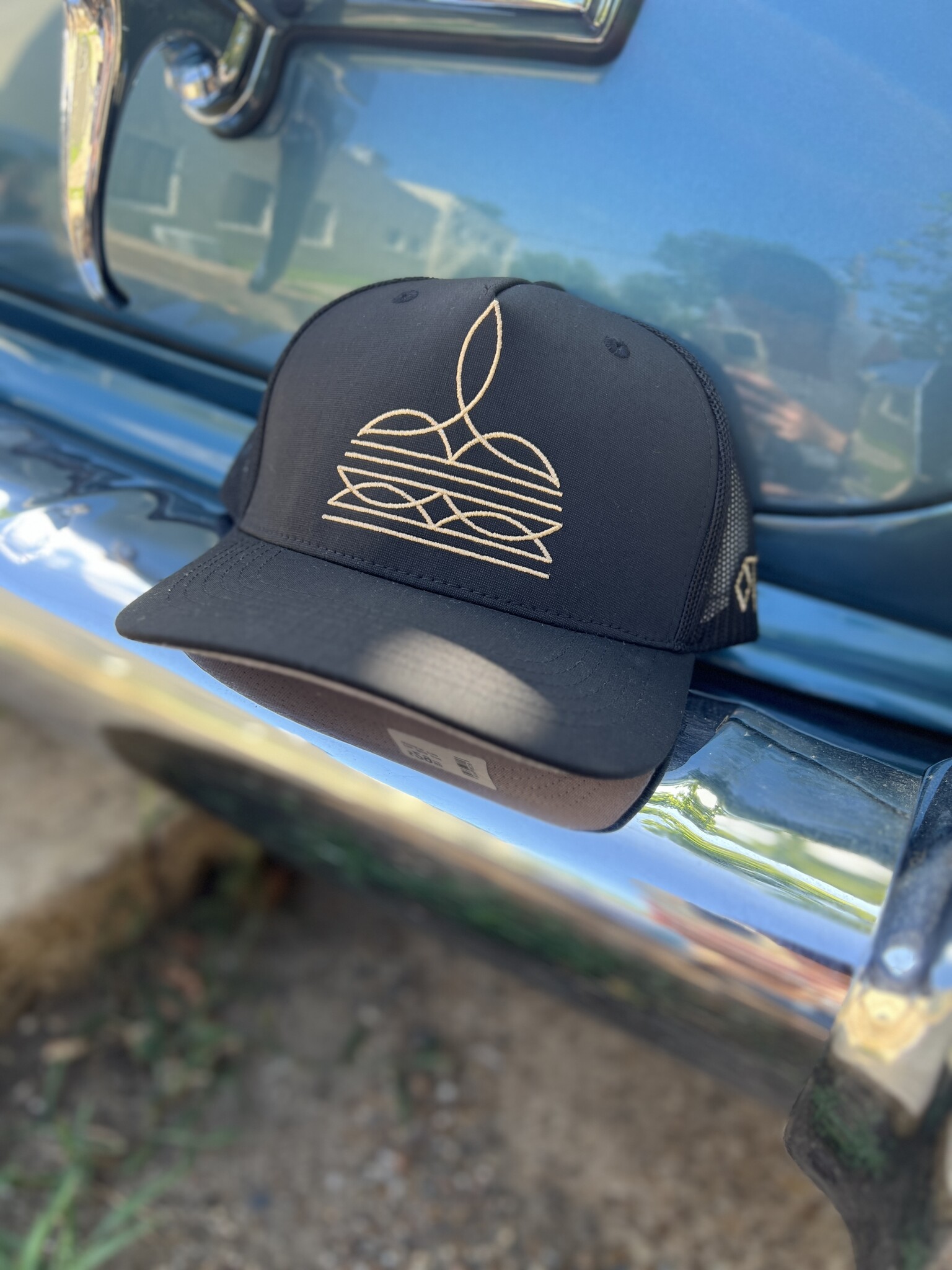 The Bug and Wrinkle Cap - Diamond T Outfitters
