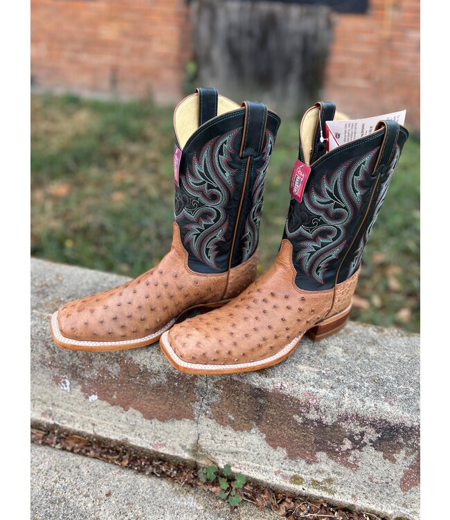 JE5171 Cognac Moseley Full Quill Ostrich