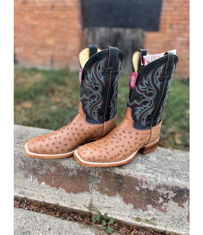 JE5171 Cognac Moseley Full Quill Ostrich