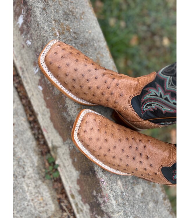 JE5171 Cognac Moseley Full Quill Ostrich