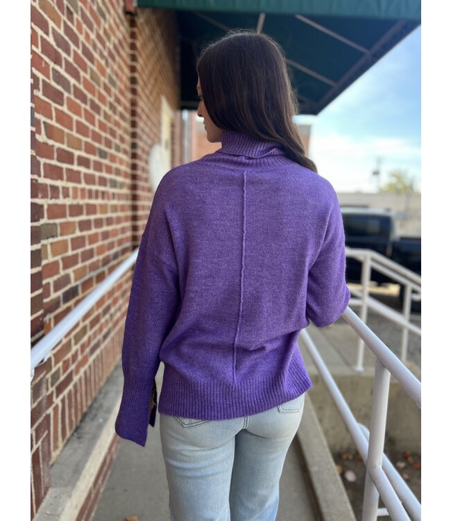 Violet Shades Sweater LVC5121