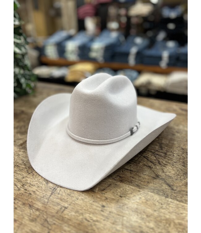 T71010277 Dallas Silverbelly R2