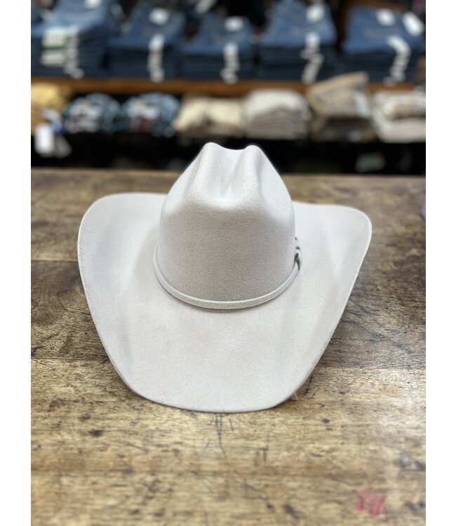 T71010277 Dallas Silverbelly R2