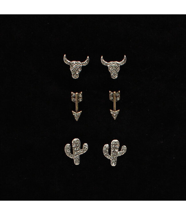 ER 3pcSetLH ArwCactus