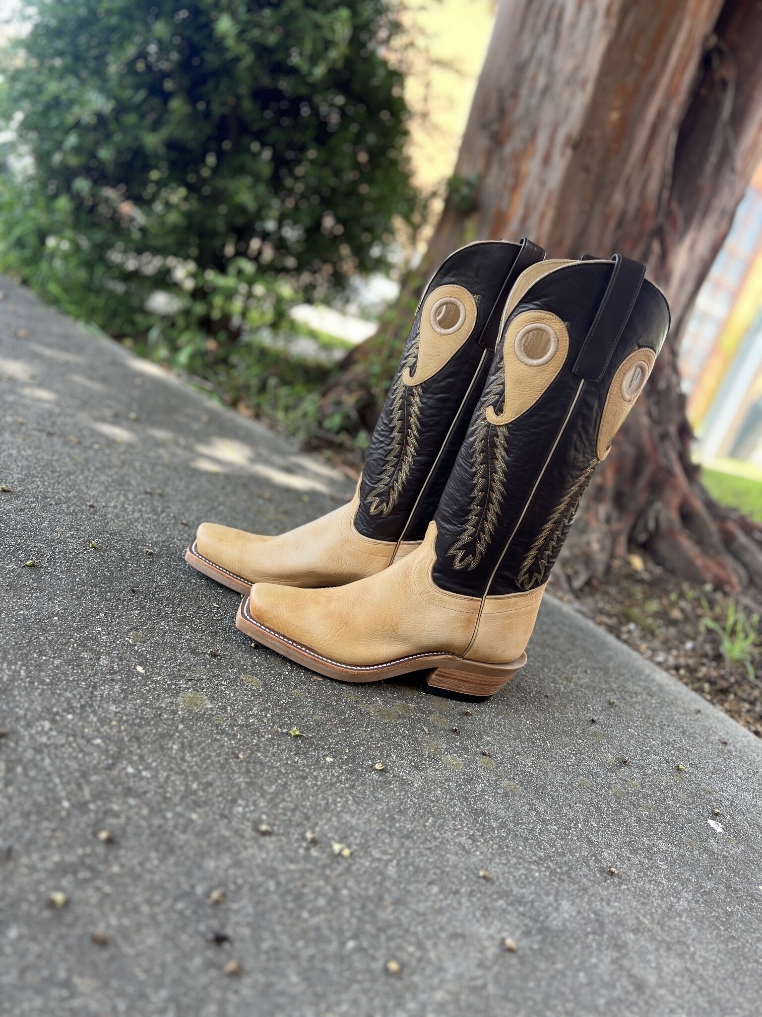 257675 Oak Shoulder Chocolate - Diamond T Outfitters