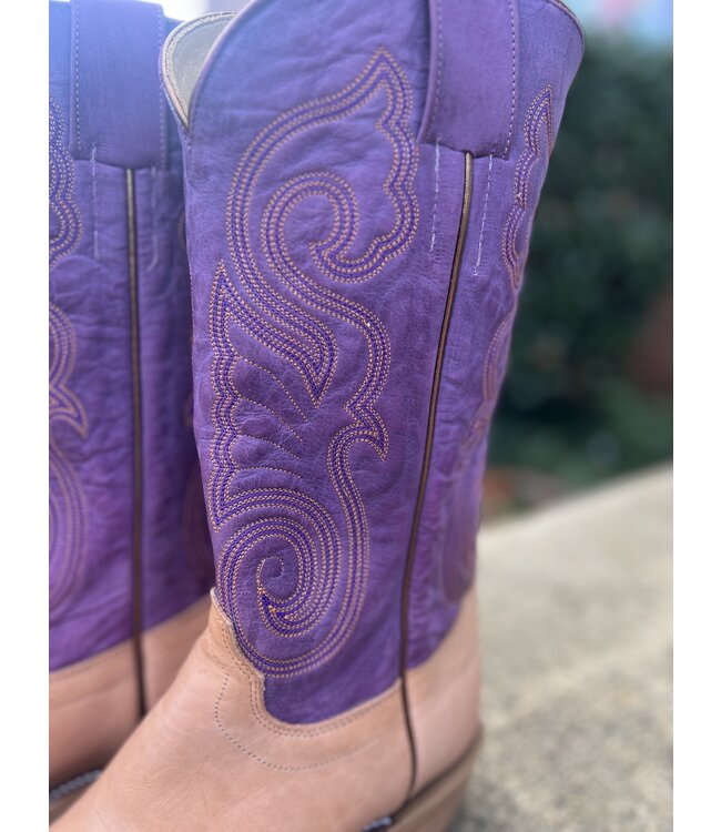 258007 Oak Harness Violet Buffamonte