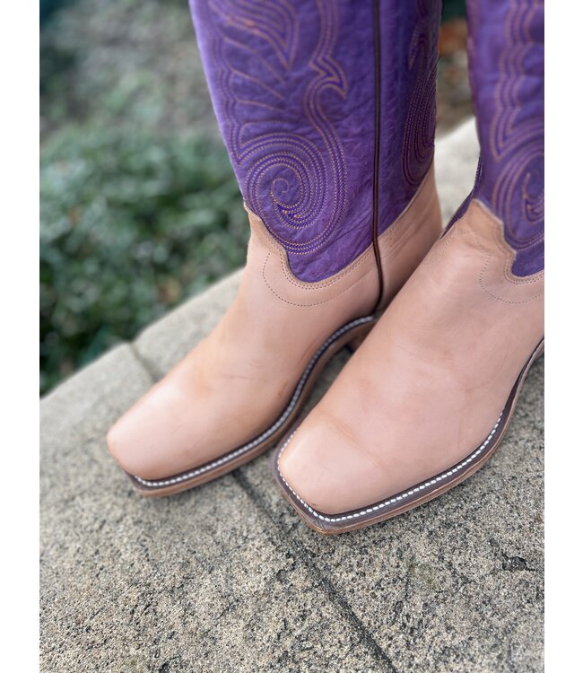 258007 Oak Harness Violet Buffamonte