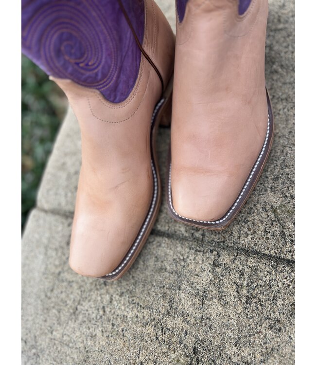 258007 Oak Harness Violet Buffamonte