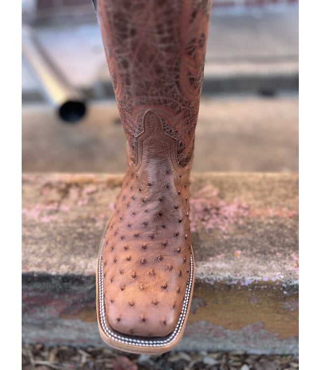 S1099 Rum Brown FQ Ostrich