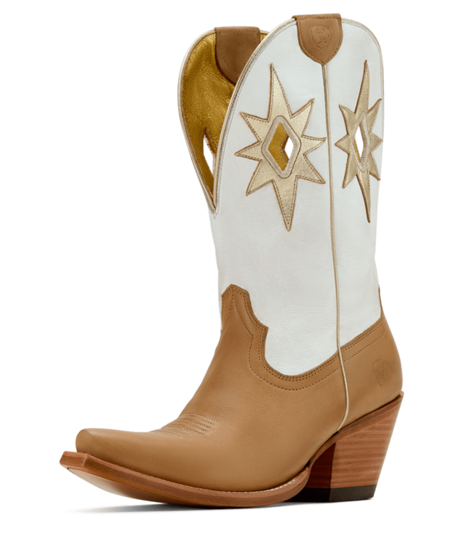 10061316 WMS Starlight